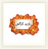 گزارش مصور از بازدید کارگاهی