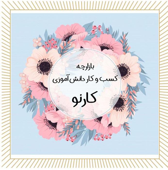 گزارش مصور  بازارچه کسب و کار دانش آموزی کارنو بهمن ۱۴۰۴ 